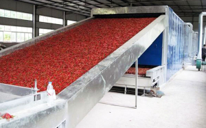 辣椒烘干機(jī)