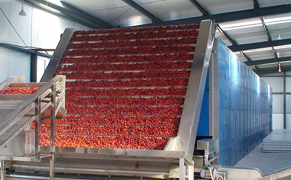 羅漢果烘干機(jī)