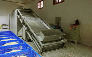 香蕉片烘干機(jī)