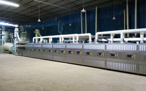 竹筍烘干機(jī)