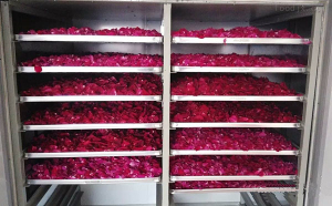 玫瑰花烘干機(jī)