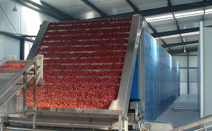 霸王花烘干機(jī)